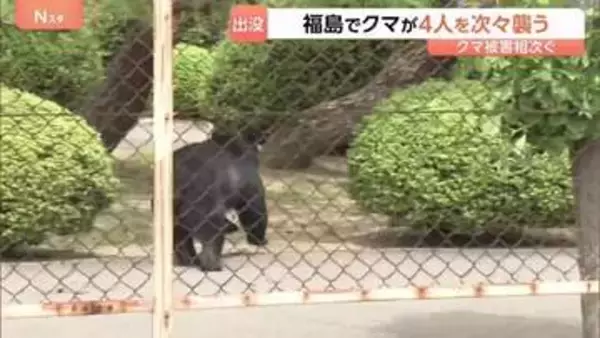 「クマに噛まれた」福島市の工場や住宅街に出没　4人けが　防犯カメラに従業員を襲い、走って追いかける様子　今も工場に居座りか