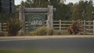 イギリスの野生動物公園でトラの飼育エリアに男性侵入　襲われ死亡　現地メディアによると周囲は高い保護柵やフェンスで厳重に囲まれている場所