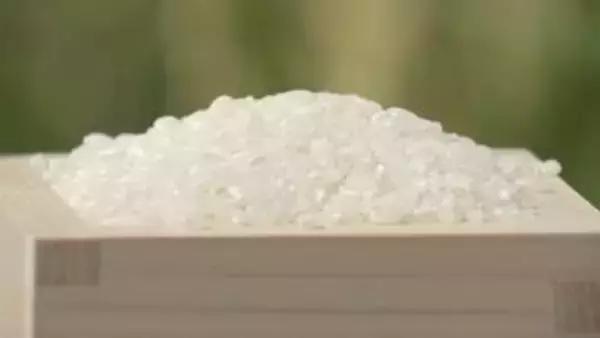 コメのコスト指標5キロあたり2816円　米穀機構が正式公表