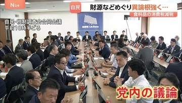食料品の消費税減税1％引き下げ 賛成意見ある一方…「やっぱり財源がない」 自民党で反対論根強く 来週月曜日も議論の予定