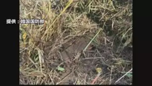 韓国軍「地雷は北朝鮮軍が埋設」　北朝鮮に謝罪と地雷除去を要求　爆発事故で最終調査結果