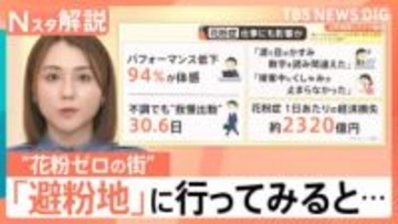 経済損失は「1日2000億円以上」！？花粉シーズン本格化　症状緩和のケースも？“スギ花粉ゼロ”の避粉地とは【Nスタ解説】