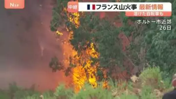真っ黒に焼けた集落…フランス・ボルドー近郊の山火事、威力の大きさ物語る現場　一連の火事で消防士2人死亡