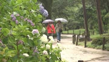 関東甲信いよいよ梅雨入り　横浜では“降れば降るほどお得”な割引きキャンペーン始まる！雨で遠のく客足確保の秘策に！？