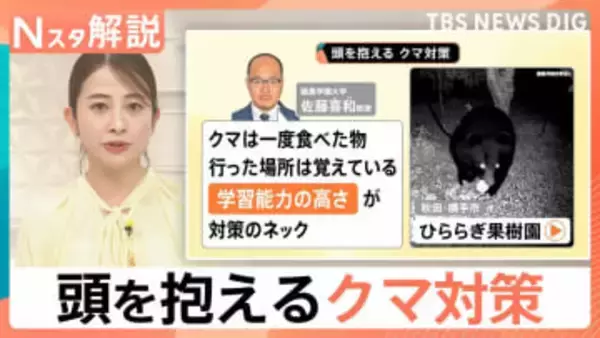 海を泳ぐクマの姿も…　もはや“災害” 学習能力の高いクマ対策の難しさ　人とのすみ分けも課題【Nスタ解説】