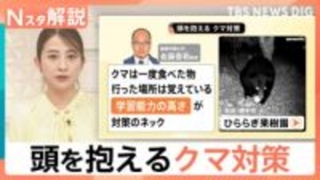 海を泳ぐクマの姿も…　もはや“災害” 学習能力の高いクマ対策の難しさ　人とのすみ分けも課題【Nスタ解説】