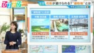 花粉が避けられる“避粉地”とは？北海道・沖縄以外に「草津温泉」も【ひるおび】