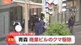 「商業ビル居座りのクマ1頭を駆除　青森市中心部で　約300m離れた駐車場でもクマが目撃…別の個体の可能性あり　引き続き注意」の画像1