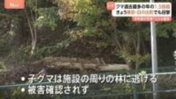 東京でもクマ目撃 日の出町のごみ処理施設付近の林に逃げたか　今年度のツキノワグマ出没件数“1.5倍増加”