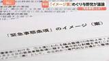 「改憲議論が進む「緊急事態条項」とは…“緊急時の国会議員の任期延長”など柱のイメージ案　衆院・憲法審査会で与野党が意見」の画像1