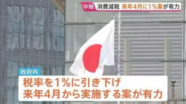 「来年4月から食料品の消費税1％」案 政府内で見方強まる　レジシステムの改修期間半分に　消費減税めぐる「国民会議」で議論