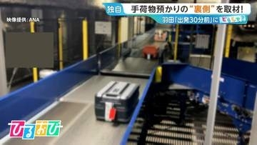 羽田空港の手荷物預け入れ「出発30分前」に！“厳格化”の背景は？手荷物預かりの裏側を取材【ひるおび】