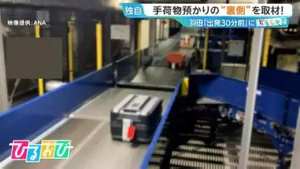 羽田空港の手荷物預け入れ「出発30分前」に！“厳格化”の背景は？手荷物預かりの裏側を取材【ひるおび】