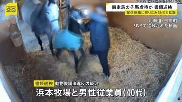 競走馬の子馬虐待の疑いで書類送検　暴行の様子が配信映像に映り込みSNSで拡散