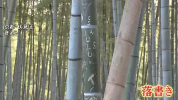 京都・伏見稲荷大社近くの竹林も落書き　去年の嵐山被害に続き…「許せない」「悪質」所有者も落胆の声