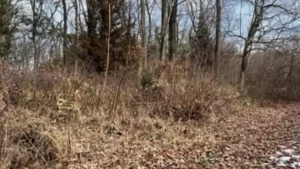 栃木県内で今朝だけでクマが2頭相次いで目撃される　警察が現場周辺警戒中