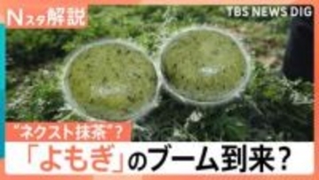 “ハーブの女王”よもぎが“ネクスト抹茶”に？出荷量が過去最高　“ほぼ草”たい焼きにドーナツ…続々進出【Nスタ解説】