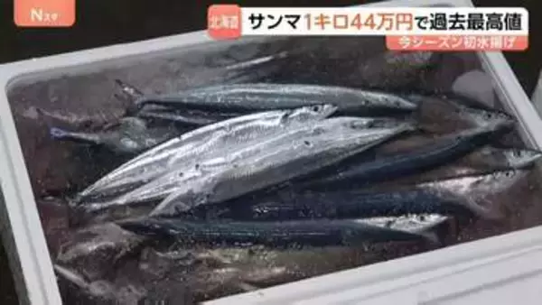 流し網漁のサンマ初水揚げ　過去最高値「1キロ44万円」で去年の1キロ25万円を大きく上回る　北海道・釧路港