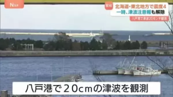 「船で揺れが分かったので逃げてきた」青森・八戸港で20cmの津波観測　80代女性が転倒しけが　北海道・東北地方で震度4