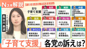 “独身税”と揶揄も…最大月550円超の「支援金」は実質負担増？衆議院選挙「子育て支援」各党の公約を比較【Nスタ解説】
