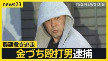 東京・福生市“金づち殴打・逃走”の男（44）を逮捕 “防カメ”リレー捜査などから千葉県で発見【news23】