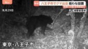 東京・八王子市の雑木林に体長1m超のツキノワグマ1頭が出没「やばいかっていう感じ」 すぐ脇には小学校や住宅街　市や警察がパトロール強化