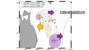「三陸はるか沖地震」の震源域でM7～8級の地震が起こりやすくなっている可能性　東北大・災害研が調査結果を速報