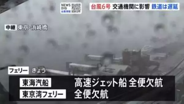 フェリーなど海の便でも欠航相次ぐ　東京・竹芝と伊豆諸島結ぶ東海汽船は高速ジェット船全便欠航　東京湾フェリーも全便欠航【台風6号 交通機関への影響】