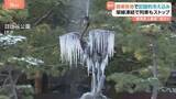 「【強烈寒気】関東各地で観測史上最低気温　栃木・鹿沼は－11.7℃　東京・八王子は－8.8℃　交通機関に影響も」の画像1