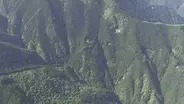 【速報】登山中にクマに襲われ重傷　ロシア国籍の30代男性が腕や頭などけが　東京・奥多摩町　警視庁