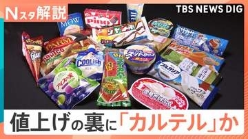 「やむを得ない値上げ」と説明も…アイス値上げの裏でカルテル疑惑　明治やロッテなど6社に公取委が立ち入り検査【Nスタ解説】