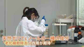 3日分で約4万円のサプリ登場　中国で広がる“長寿ビジネス”に街では懐疑的な声も… 人への効果や安全性の検証に課題