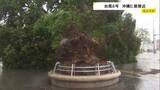 「【台風6号最接近】最大瞬間風速40.6m 沖縄・うるま市で6月観測史上最大に　県内で少なくとも6人けが　各地で街路樹倒れる」の画像1