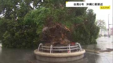 【台風6号最接近】最大瞬間風速40.6m 沖縄・うるま市で6月観測史上最大に　県内で少なくとも6人けが　各地で街路樹倒れる