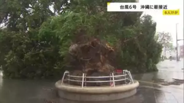 【台風6号最接近】最大瞬間風速40.6m 沖縄・うるま市で6月観測史上最大に　県内で少なくとも6人けが　各地で街路樹倒れる