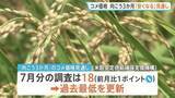 「コメ価格 向こう3か月「安くなる」見通し強まる 指数は過去最低に」の画像1