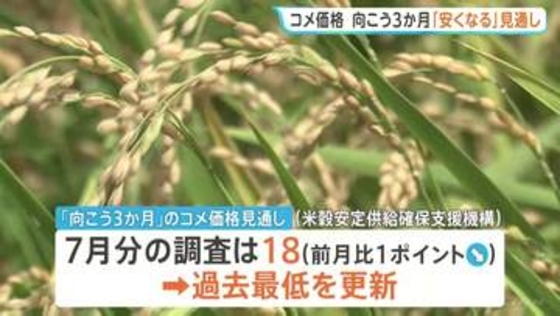 コメ価格 向こう3か月「安くなる」見通し強まる 指数は過去最低に