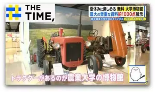 「子どもも大人も長時間楽しめる」体験して“食と農”を学ぶ大学博物館【THE TIME,】