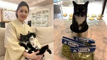 【 ねこ 】藤あや子の愛猫「マル」が〝尾行マン〟〝鍋で正座〟おとぼけマイペースで飼い主メロメロ