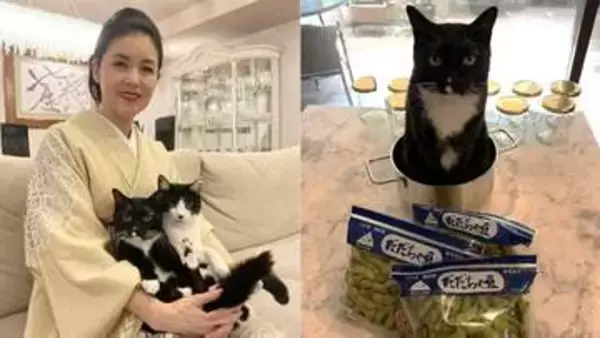【 ねこ 】藤あや子の愛猫「マル」が〝尾行マン〟〝鍋で正座〟おとぼけマイペースで飼い主メロメロ