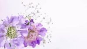 【 訃報 】落合信彦さん　死去　８４歳　老衰のため　国際ジャーナリスト・作家として活躍　著書に「男たちのバラード」「アメリカよ！あめりかよ！」など