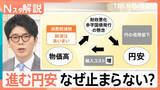 「進む円安…なぜ止まらない？「消費税減税」が物価高の“アクセル役”に？経済界が危惧する理由【Nスタ解説】」の画像1