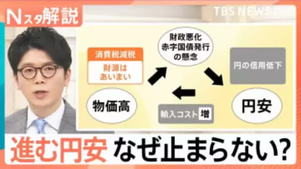 進む円安…なぜ止まらない？「消費税減税」が物価高の“アクセル役”に？経済界が危惧する理由【Nスタ解説】