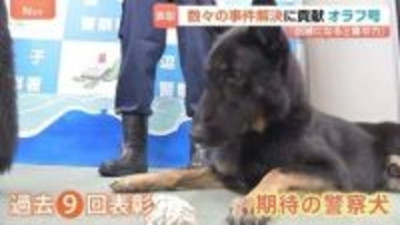 期待の警察犬「オラフ号」　行方不明高齢男性の発見に貢献で表彰　数々の事件解決に貢献　過去9回表彰　“訓練になると集中力出す”　神奈川県警