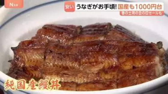 5月3日は「春の土用の丑の日」今年はうなぎが安い！国産1000円台も！
