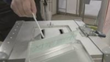 【速報】衆議院選挙 投票締め切り　午後７時30分現在の投票率は28.18％、前回同時刻比3．31ポイント減少