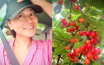【 氷川きよし 】「いやーん　どうしようダイエット中なのに」「初のさくらんぼ食べ放題」「50粒くらい笑笑笑　食べた」