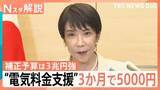 「電気・ガス代「3か月で5000円」支援へ　 ガソリン補助や“ナフサ目詰まり”に政府の次の一手は【Nスタ解説】」の画像1