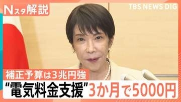 電気・ガス代「3か月で5000円」支援へ　 ガソリン補助や“ナフサ目詰まり”に政府の次の一手は【Nスタ解説】