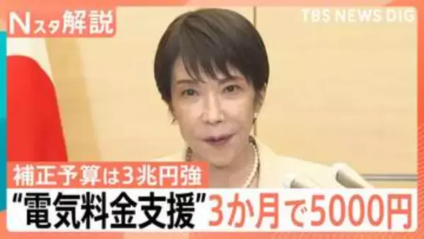 電気・ガス代「3か月で5000円」支援へ　 ガソリン補助や“ナフサ目詰まり”に政府の次の一手は【Nスタ解説】